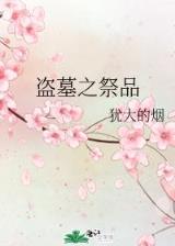 完本小说 作者：齐发直播官网